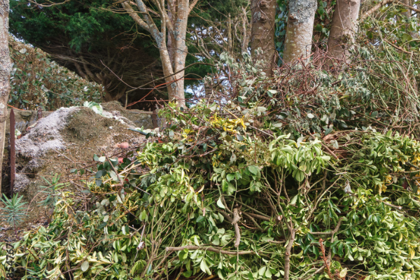 Gartenabfall