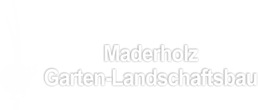 maderholz weiss2
